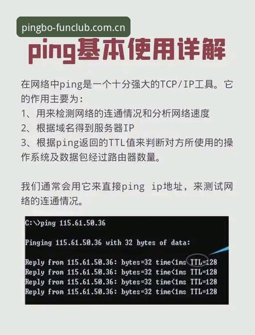 平博体育平台新手入门教程详解：从注册到手机版下载全攻略